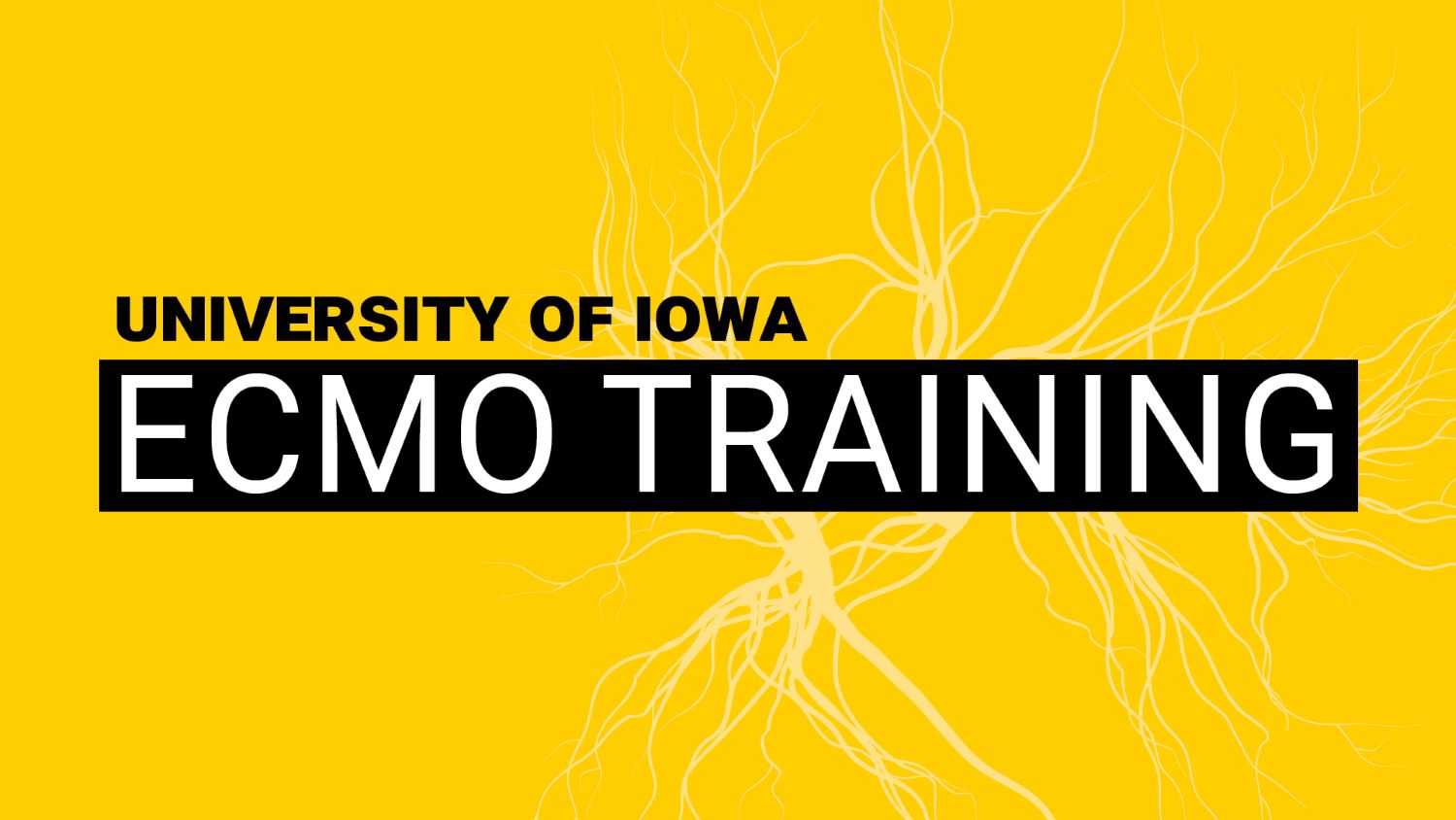 University of Iowa Adult Comprehensive Simulation-Based ECMO Course Banner